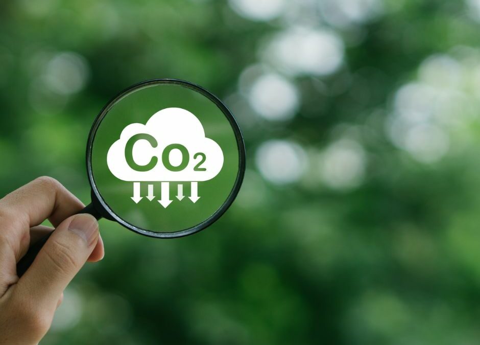 Explore the patterns and environmental impact of Student Mobility