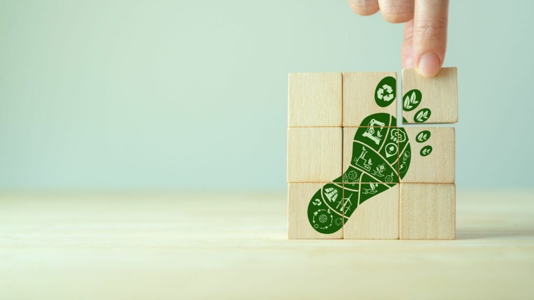 SET Project Releases New Analyses on Green Mobility and Skills for the Future