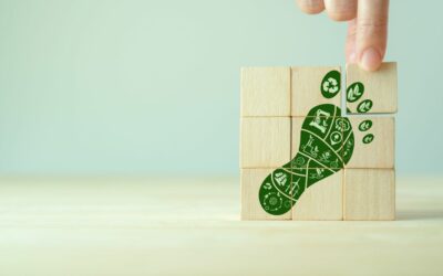 SET Project Releases New Analyses on Green Mobility and Skills for the Future
